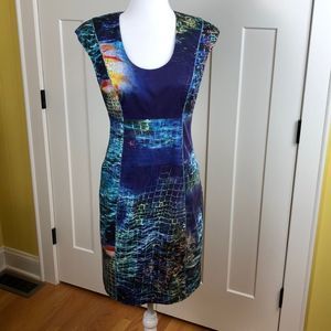 Rachel Roy dress